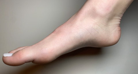 The Official Toe Hoe cover image