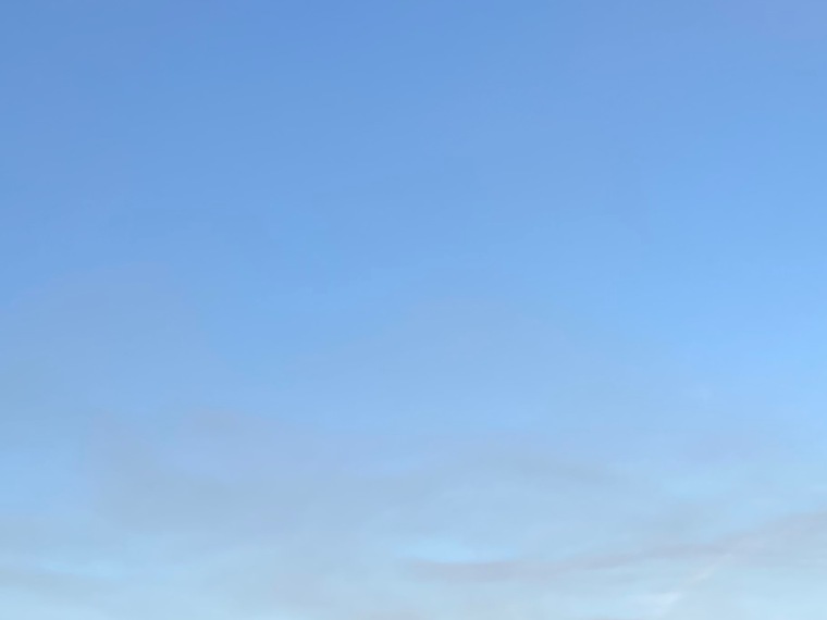Theonlyone cover image