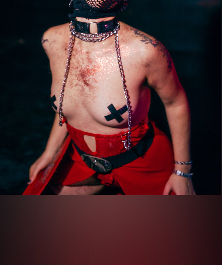 The Owner (Dominatrix) cover image