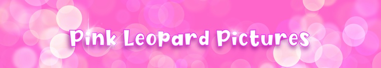 The Pink Leopard banner image