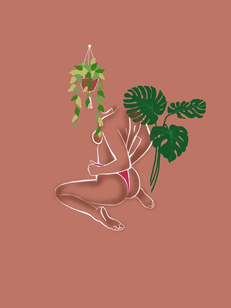 Plantmom25 banner image