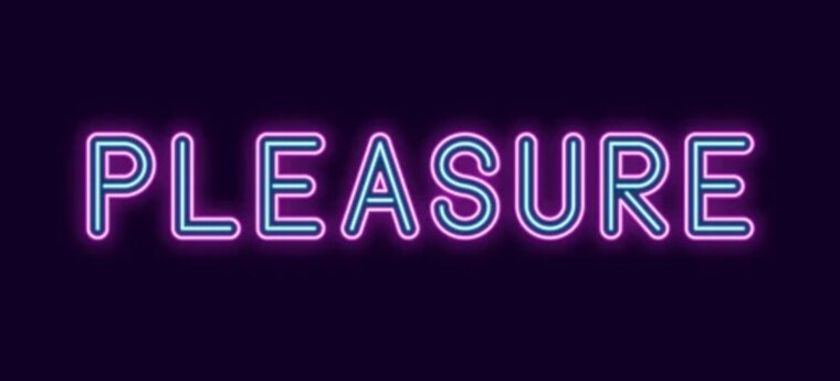 The Pleasure Activist banner image