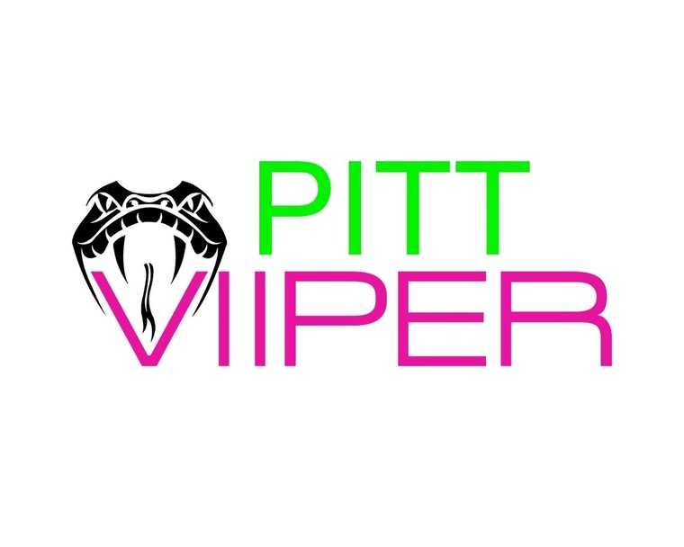 Viiper and Pitt 🐍 banner image