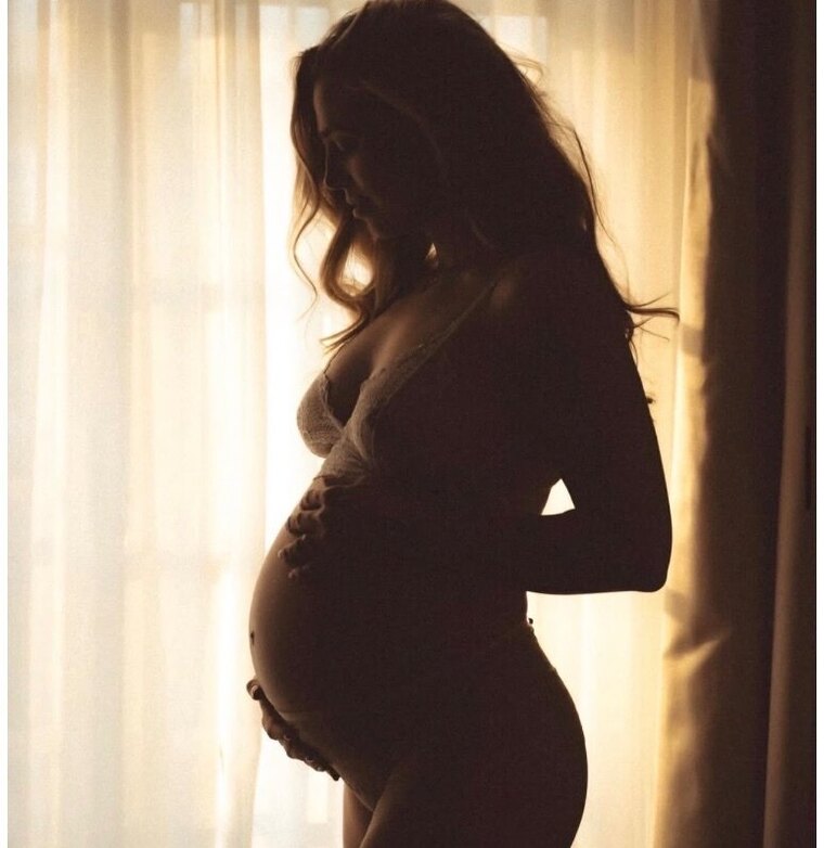 The Pregnant Hot Wife cover image