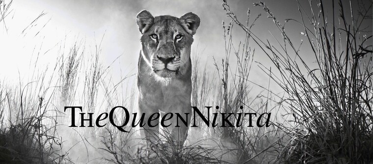 TheQueenNikita cover image
