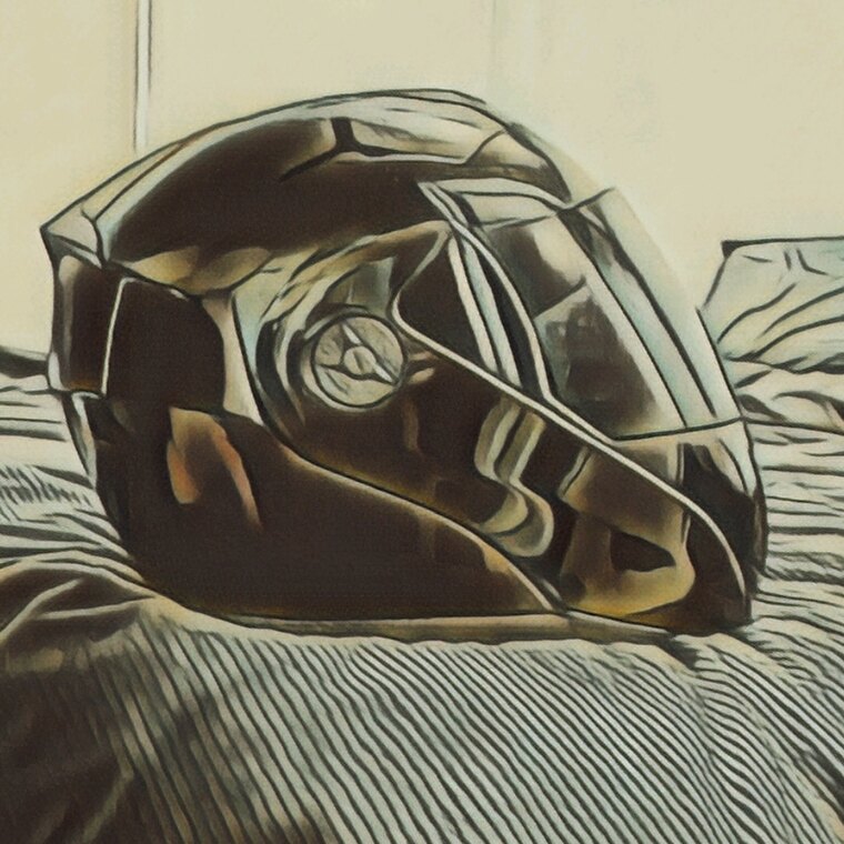 The Raw Stig cover image