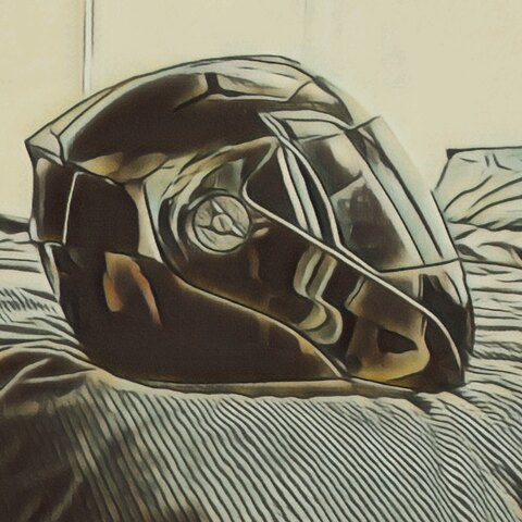 The Raw Stig cover image