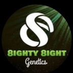 8ighty 8ight avatar