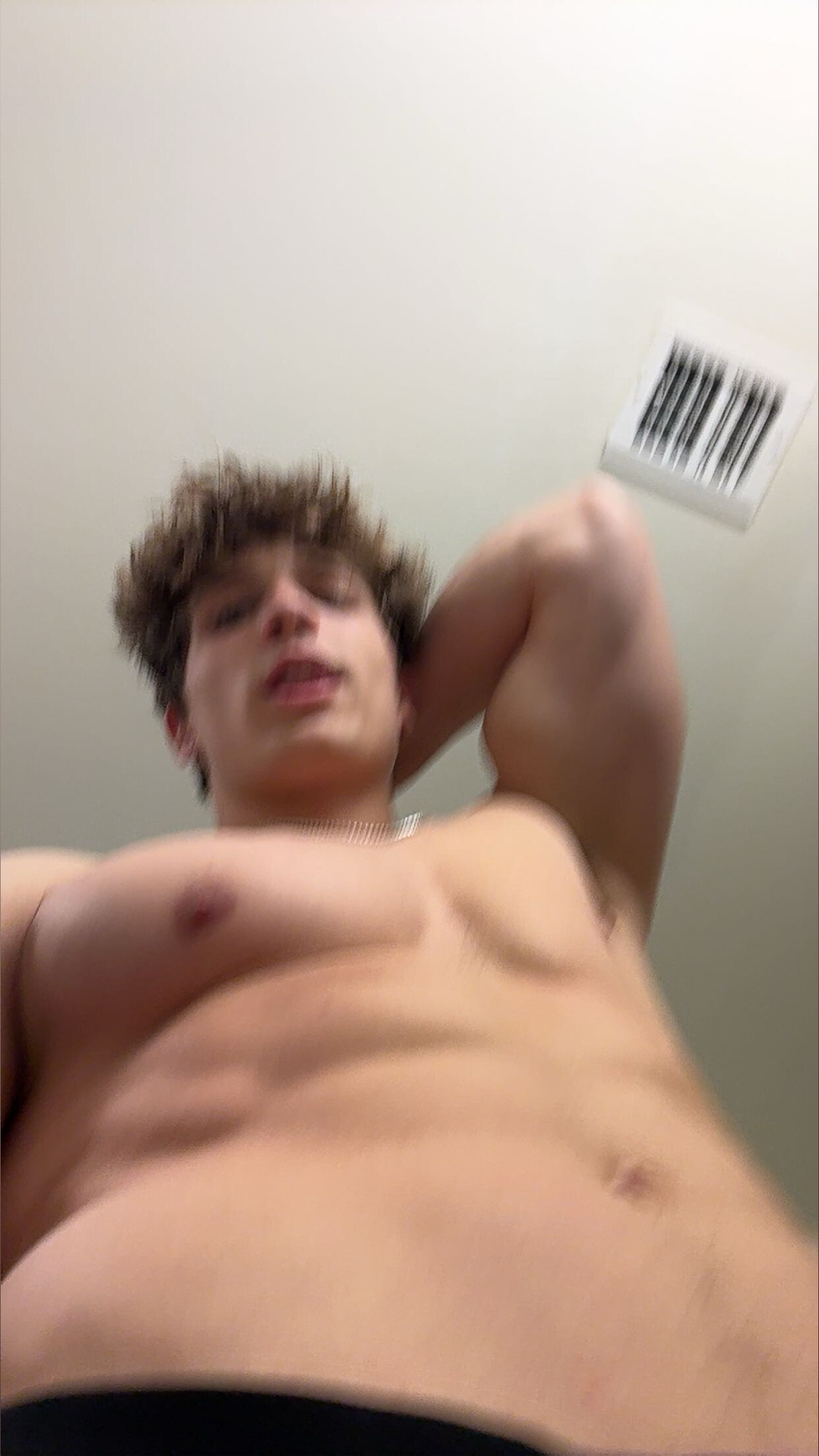 Italian Stallion banner image
