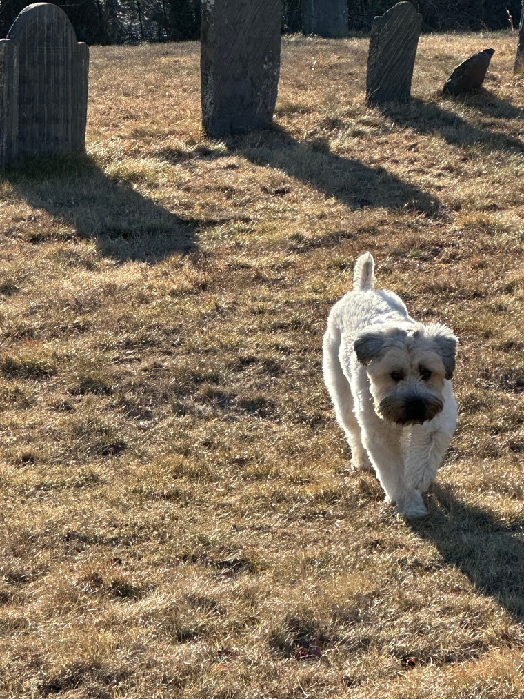 Jack banner image