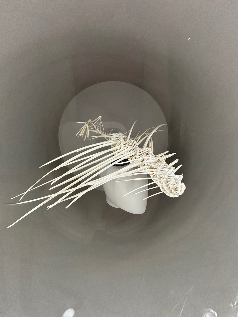 The Real Mr. Bones cover image