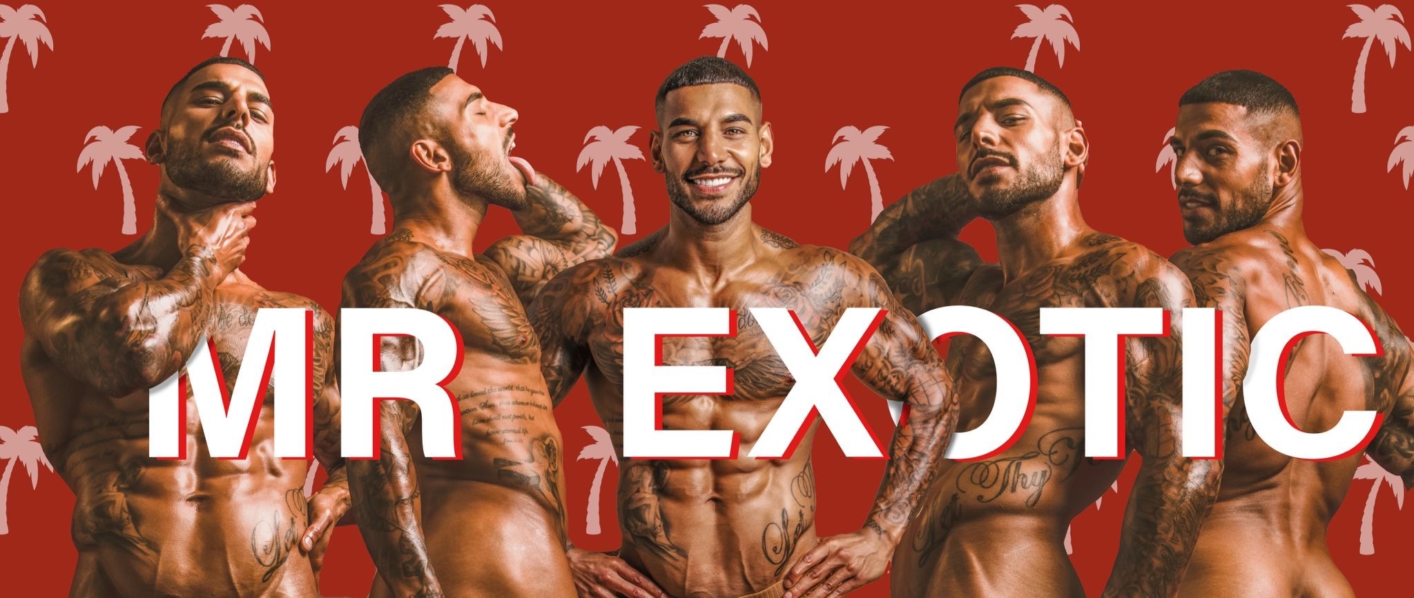 ๐ ๐ฟ ๐๐
๐ผ๐๐ถ๐ฐ ๐ด ๐ฅฅ banner image