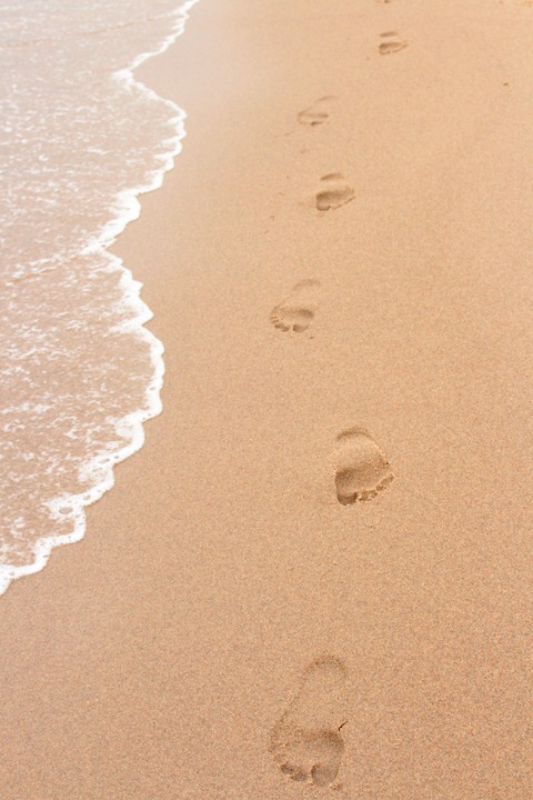 The Queen of Feet cover image