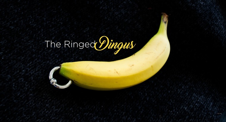 TheRingedDingusFree banner image