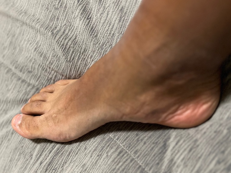The Shark's Feet cover image