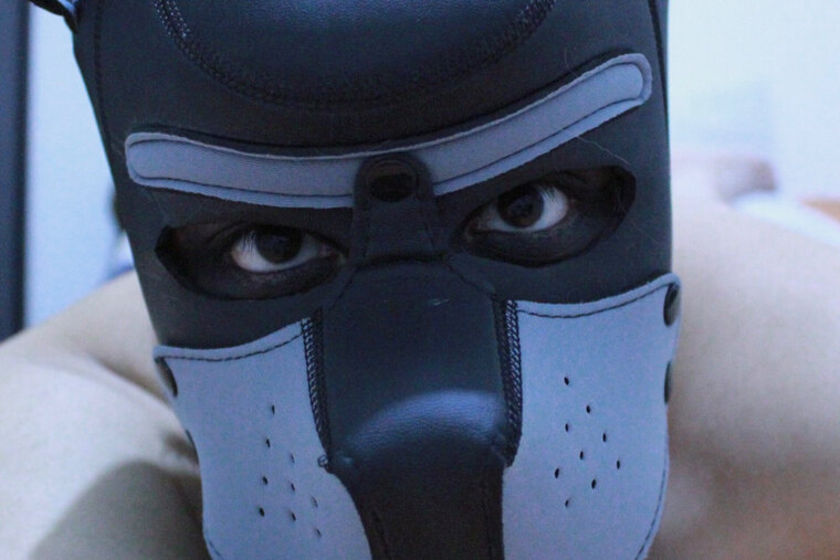 Sinful Cub cover image