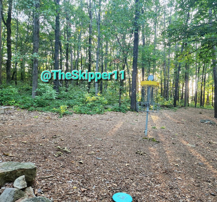 TheSkipper11 cover image
