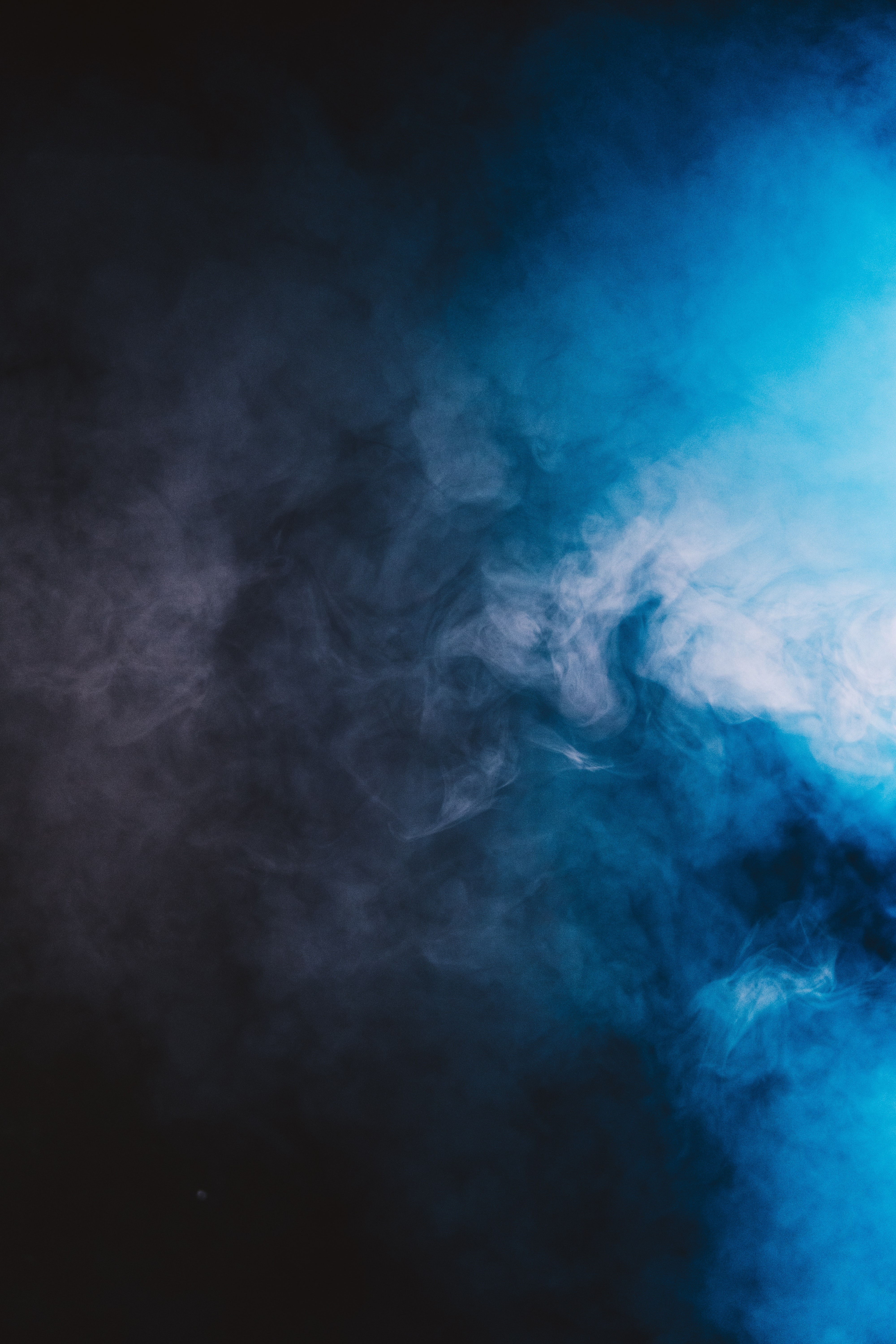 Sofia Sortino banner image