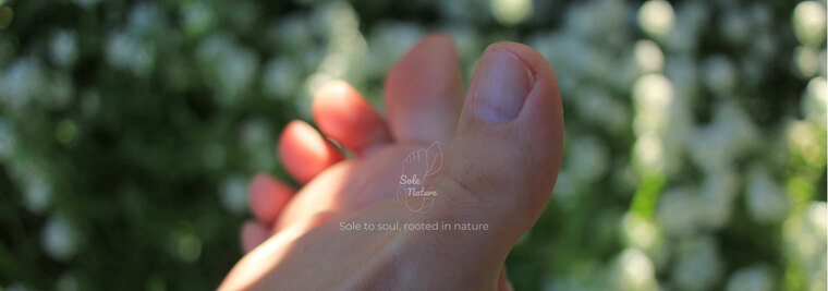 Sole Nature cover image