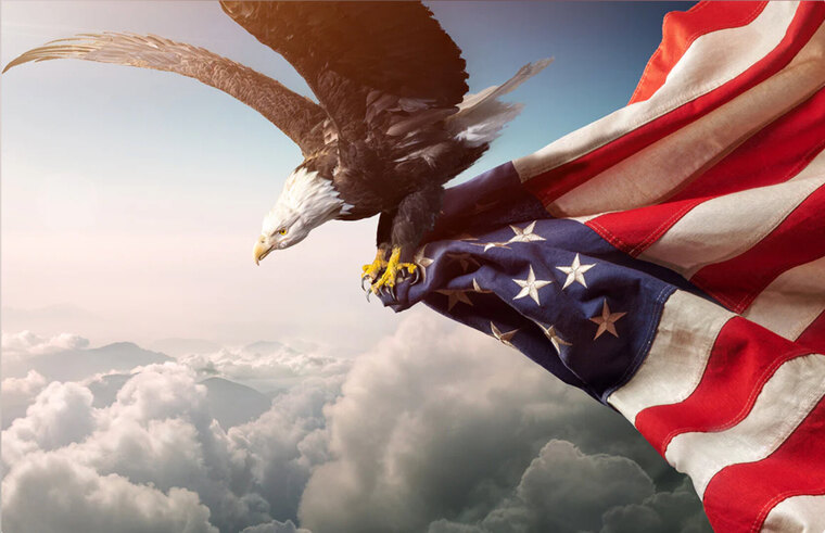 Steve Rogers banner image