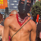 thestraypup avatar