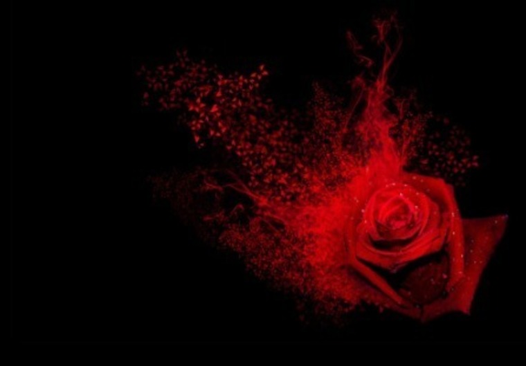 ❤️🔥Bienvenidos a mi página❤️🔥 cover image