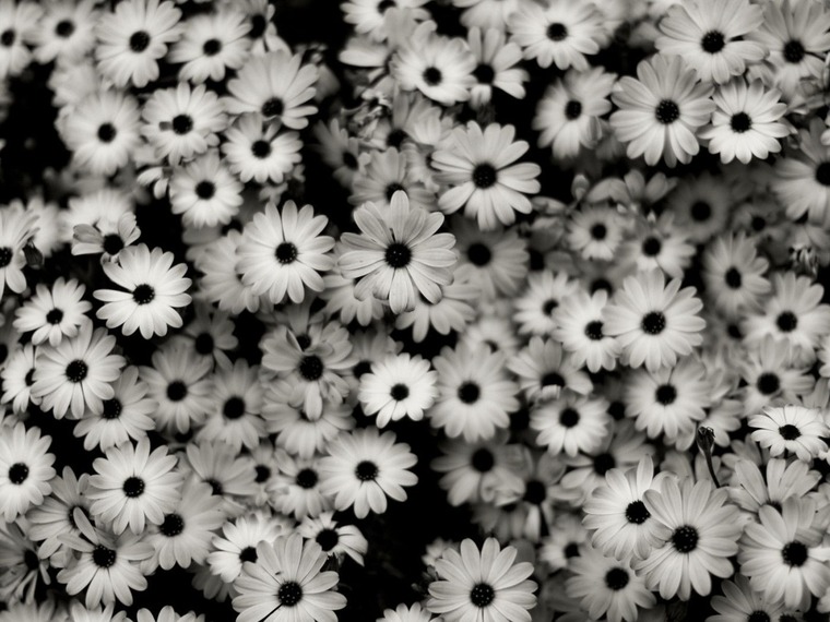 Thesweetestpeach93 cover image