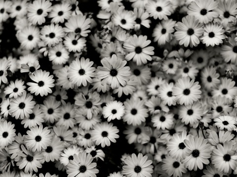 Thesweetestpeach93 cover image