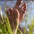 The Sweet Feet Co avatar