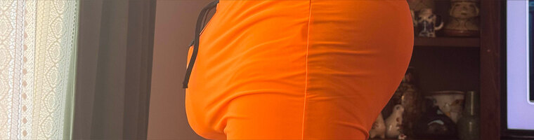 The Tampa Beast banner image