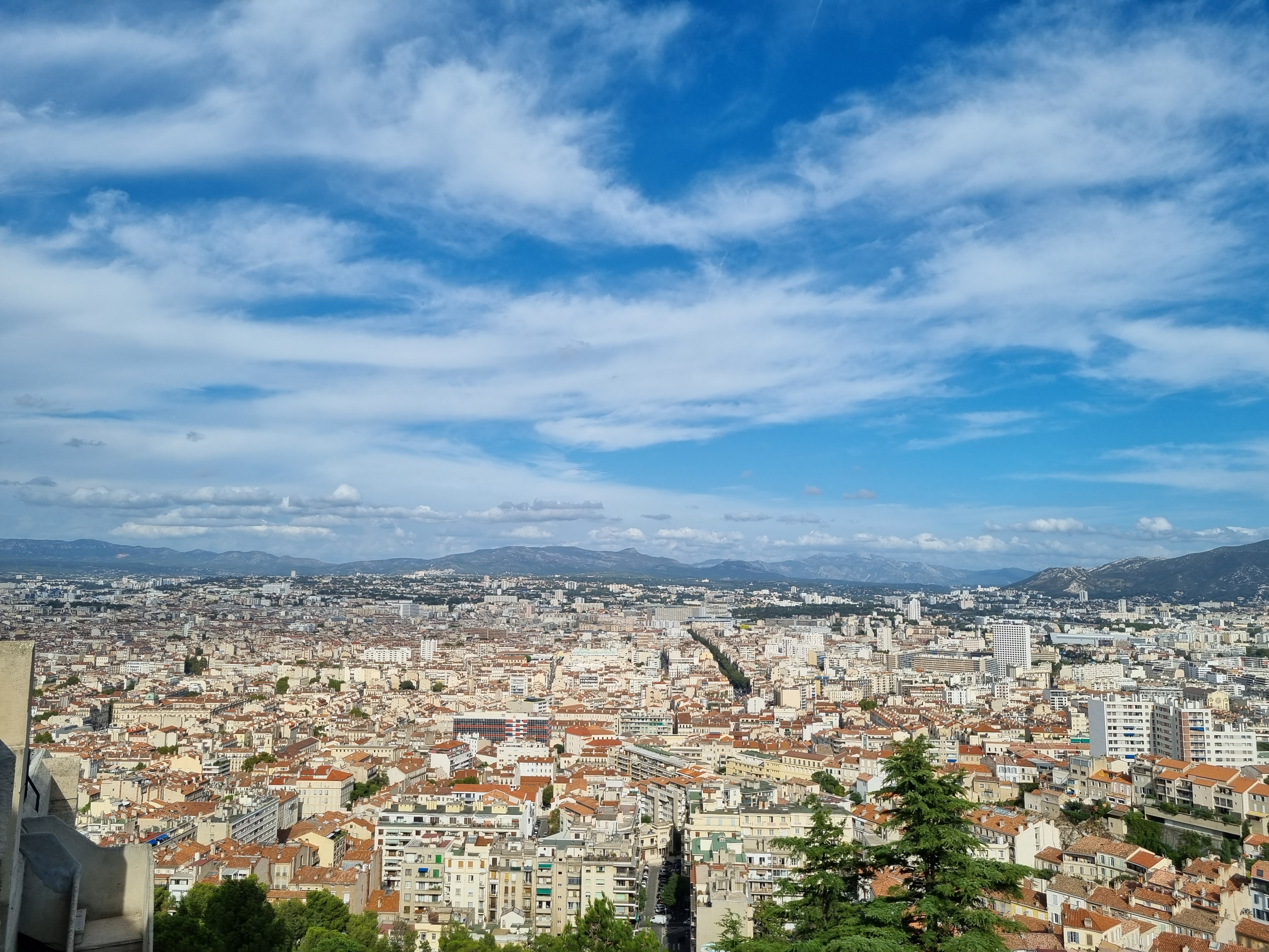 thefrenchman banner image