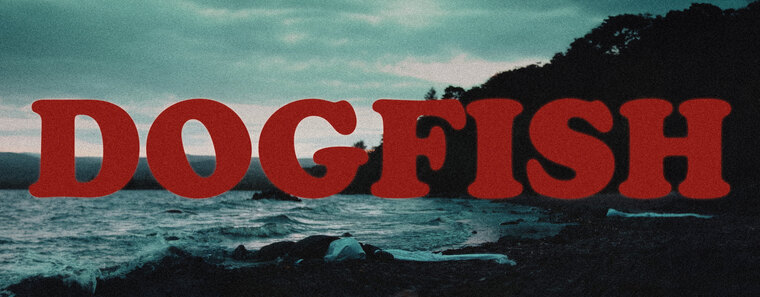 The Terrible Dogfish cover image