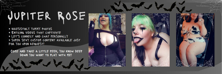 TheThickestKitty banner image