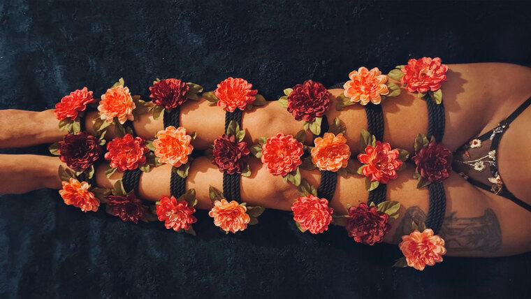 Jay banner image