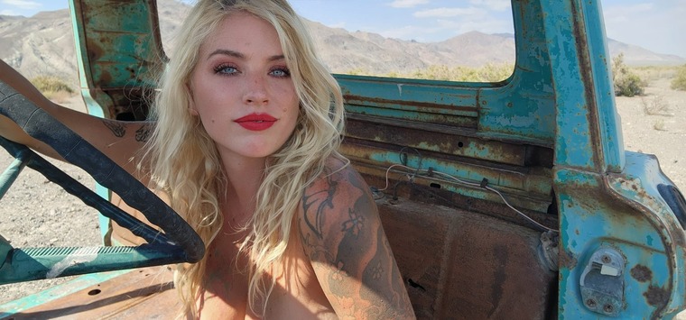 The Trailblazer Gypsy cover image