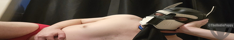 The Undie Puppy cover image