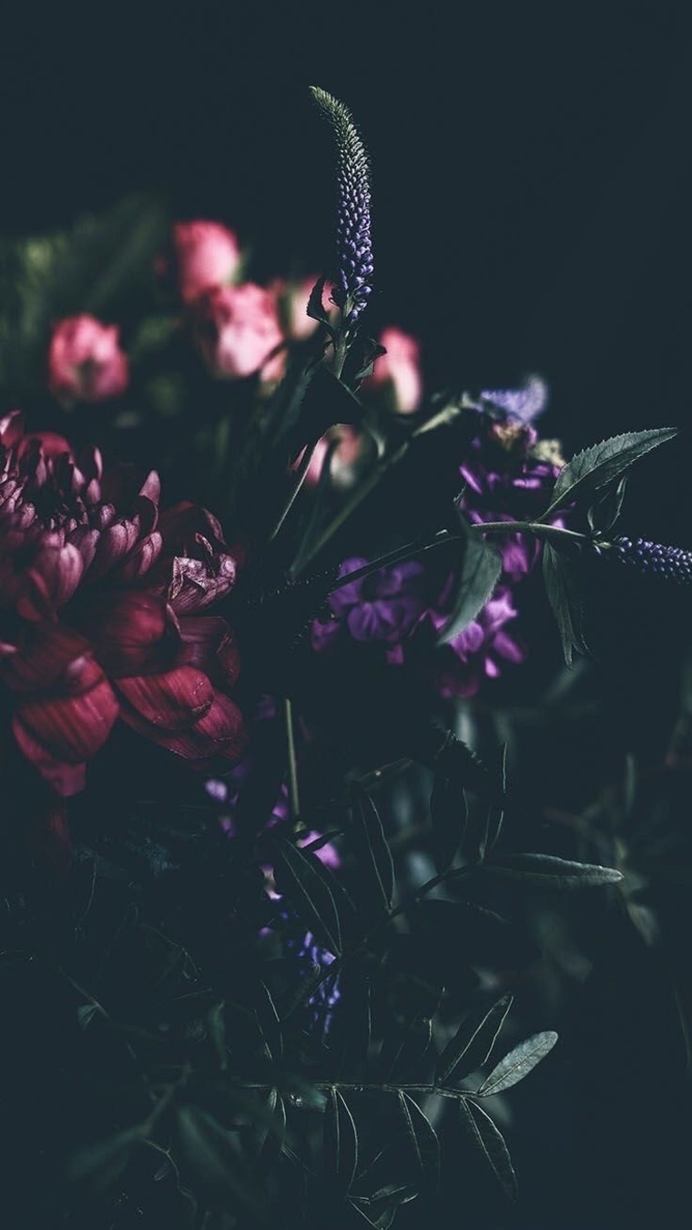 Violet 💜 cover image