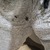 Voyeuristic Couple avatar