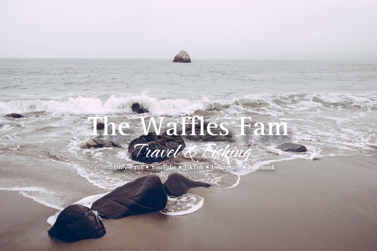 The Waffles Fam cover image