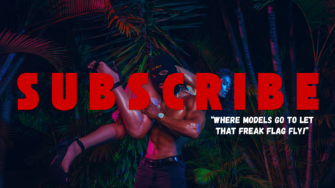 The Wild Exclusive (VIP) cover image