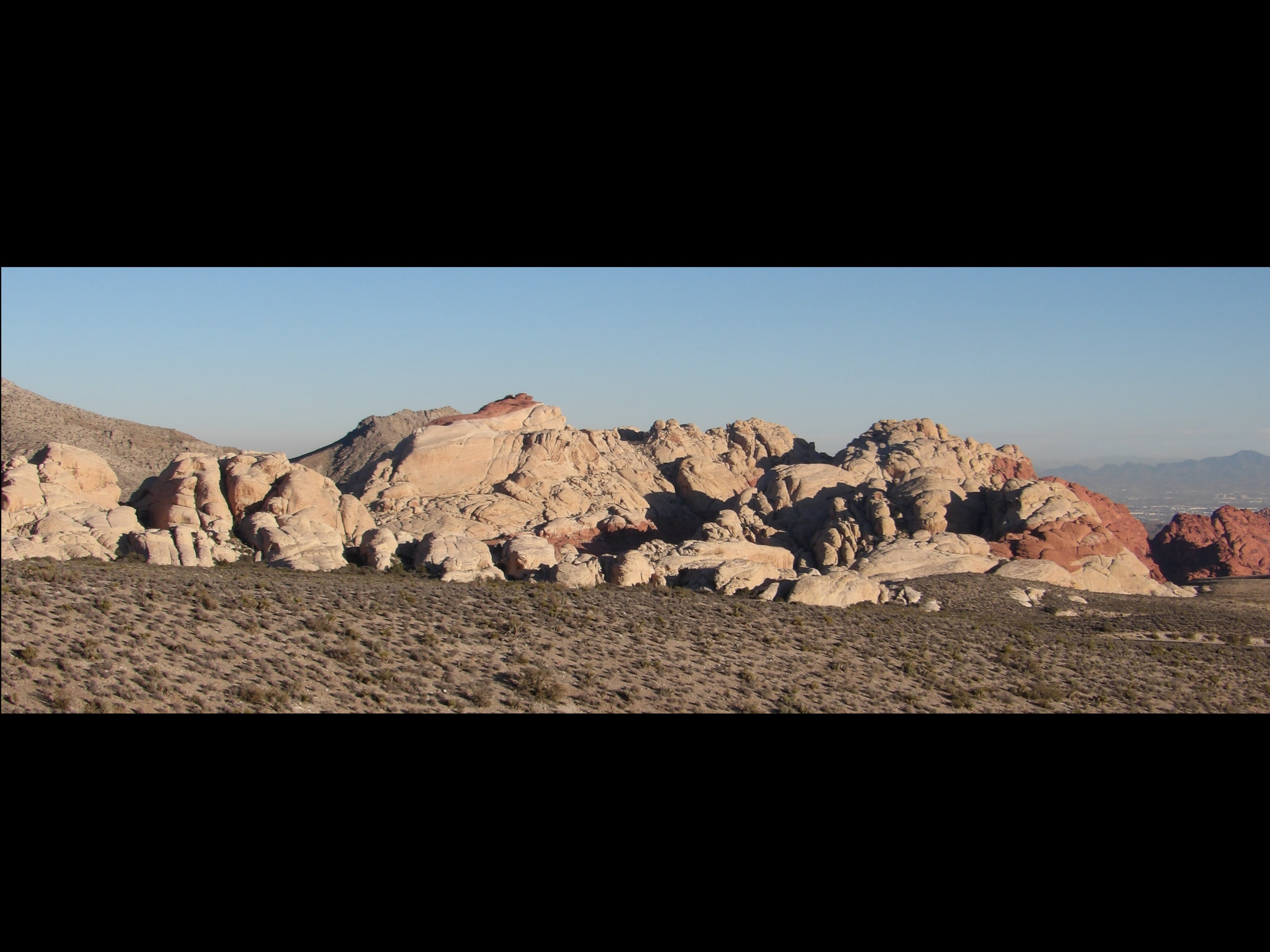 The Wild Lifestyle banner image