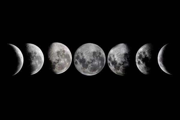 Moonchild banner image