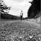 TheWonderer avatar