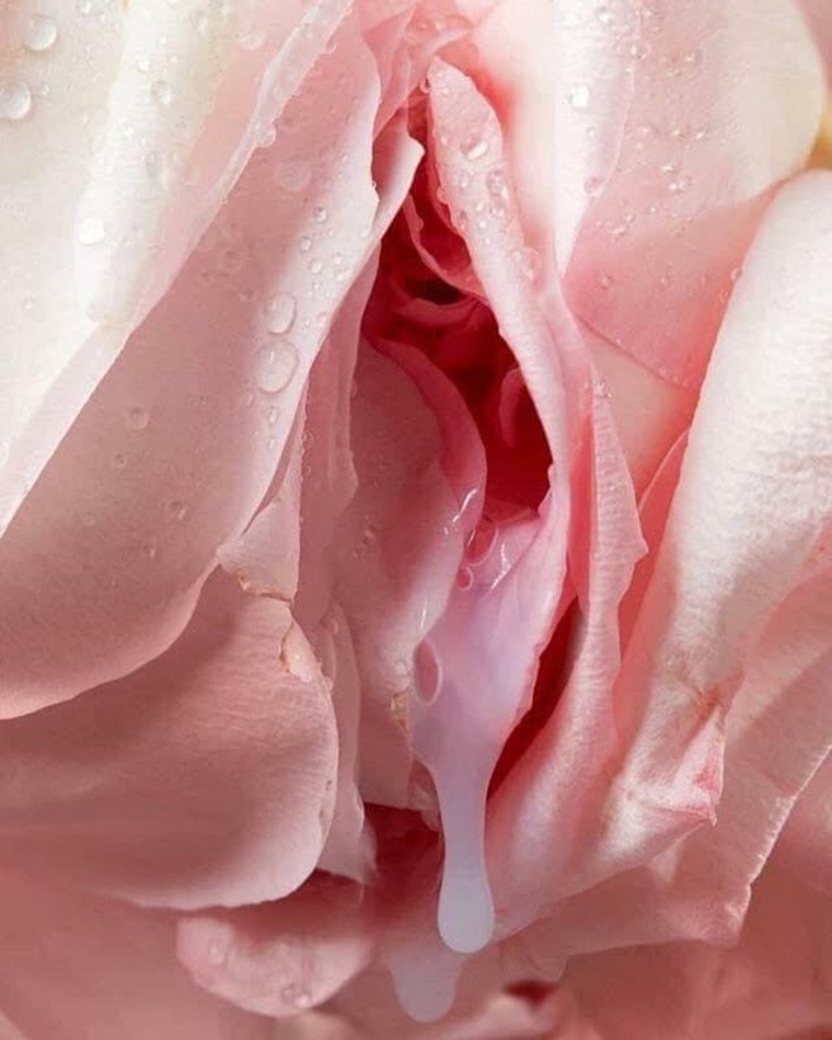 Alexxxis Dior ๐ฐ banner image