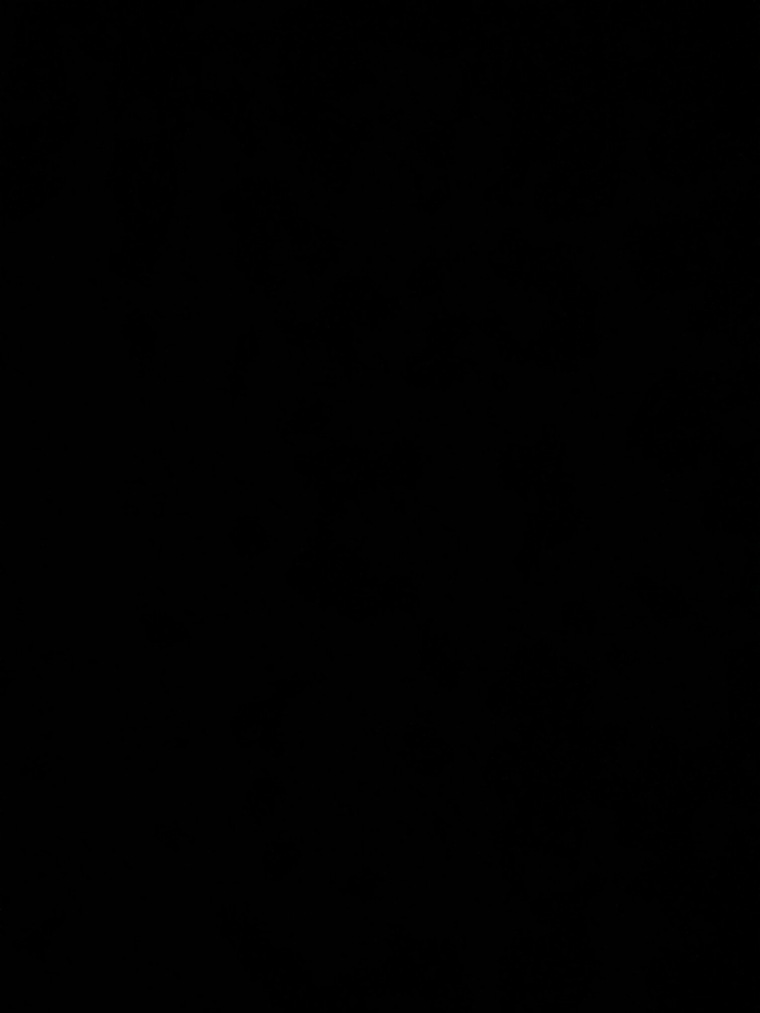 thiccbooty1 banner image