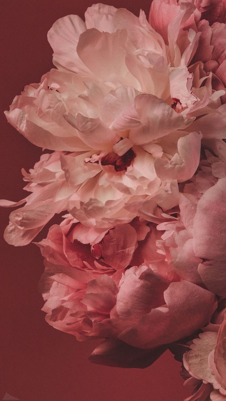 Chabela cover image