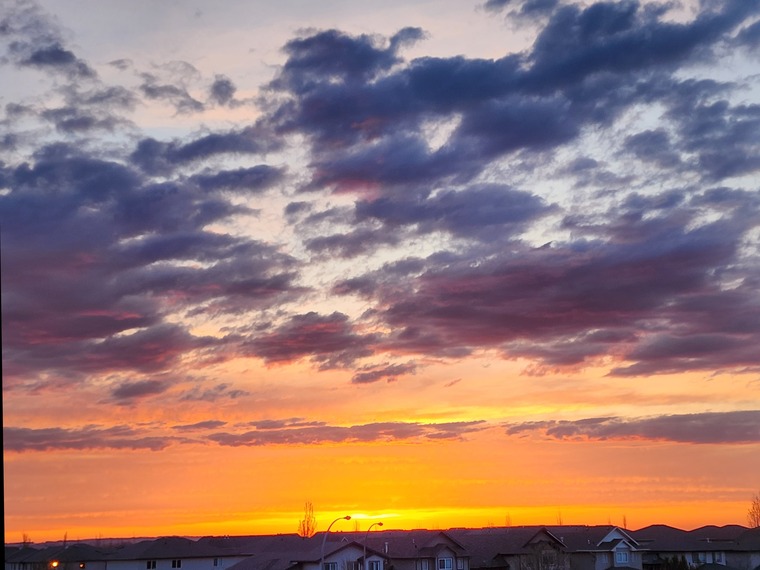 Miss Pretty Eyes banner image