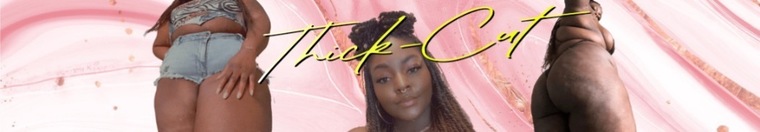 Chunk cover image