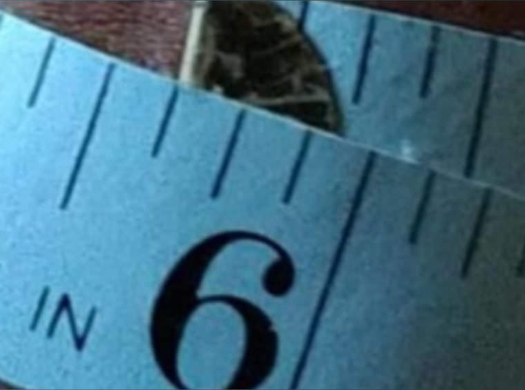 Thick4you cover image