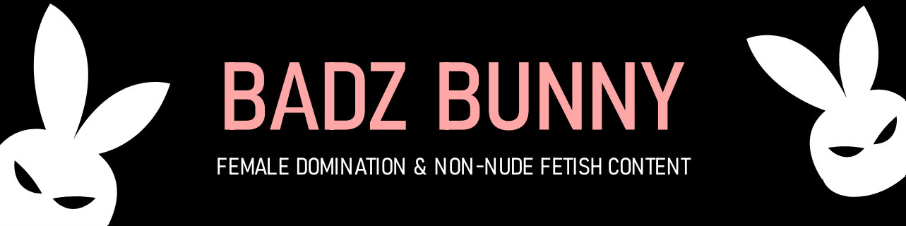 Badz Bunny banner image